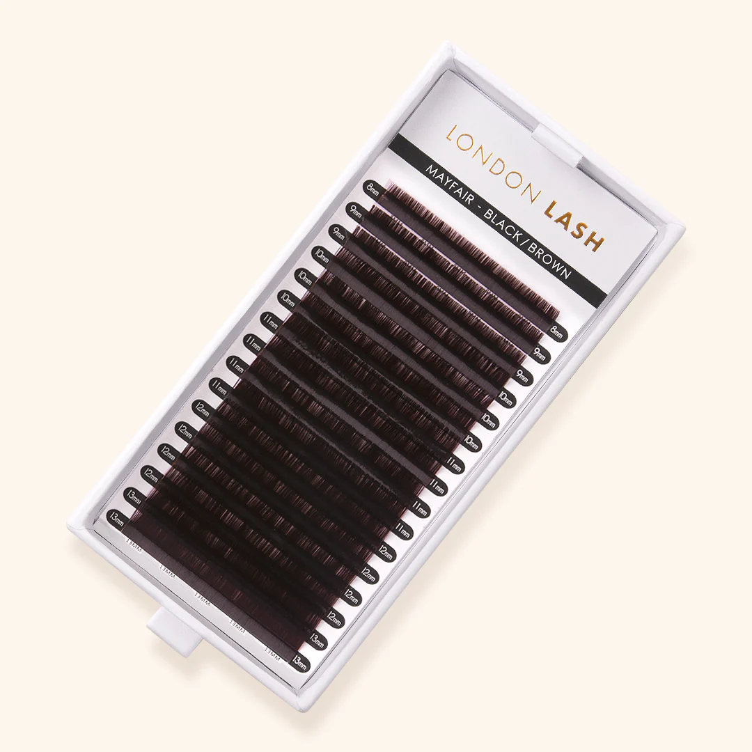 Lash Bestsellers